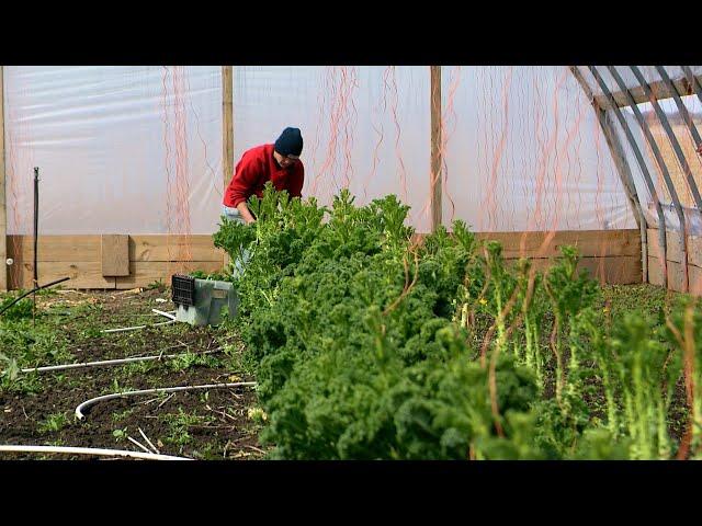 Growing a business from the ground up with the help of ISU Extension