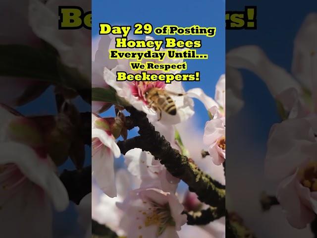 Day 29 of Celebrating BEEKEEPERS & Their HONEY BEE Heroes!