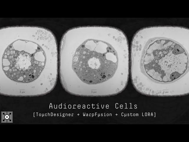 Audioreactive Cells - [TouchDesigner + WarpFusion + Custom LORA | Project Files]