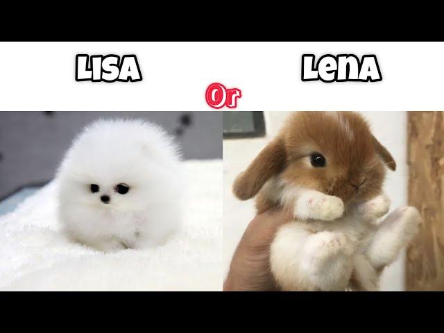 Lisa or Lena (animals edition).