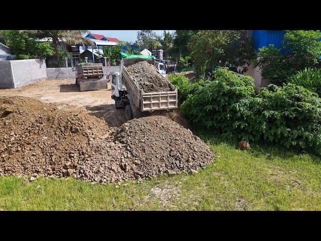 Perfect Start New Project! Filling Land by Dozer Komatsu D20P pushing Push Rocks to fill the ground.