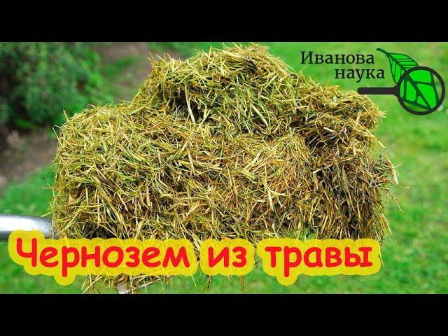 ТРАВА - ОСНОВА ПЛОДОРОДИЯ. Делаю травяной гумус чернозем осенью и урожай прёт как на дрожжах!