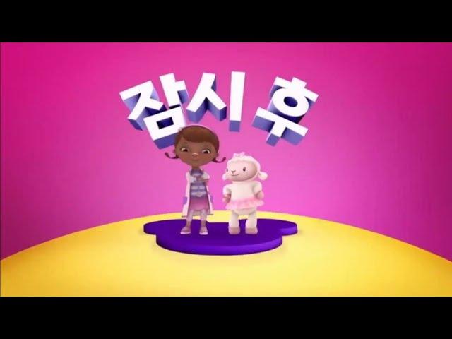 디즈니주니어 잠시후 - 꼬마의사 맥스터핀스 : 동물 구조대