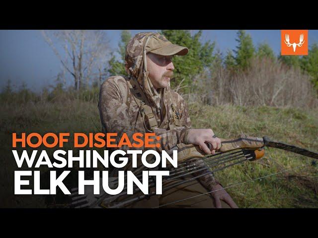 A Washington Elk Hunt | Cal In The Field