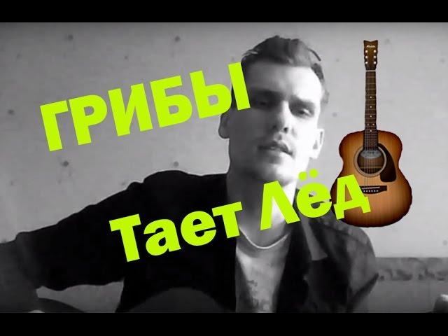 Грибы — Тает Лёд (Cover. Шакиров Даниил, Как играть)