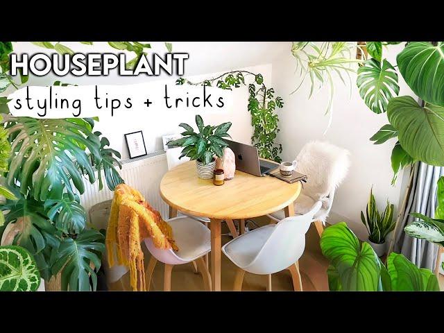 Amazing Plant Styling TIPS + TRICKS To Jungle-fy Your Home 