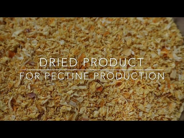 Food: Drying Citrus Peel Pulp for Pectine - TEMA Process Fluid Bed Dryers