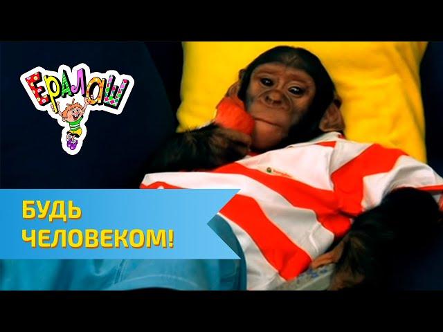 Ералаш Будь человеком! (Выпуск №193)