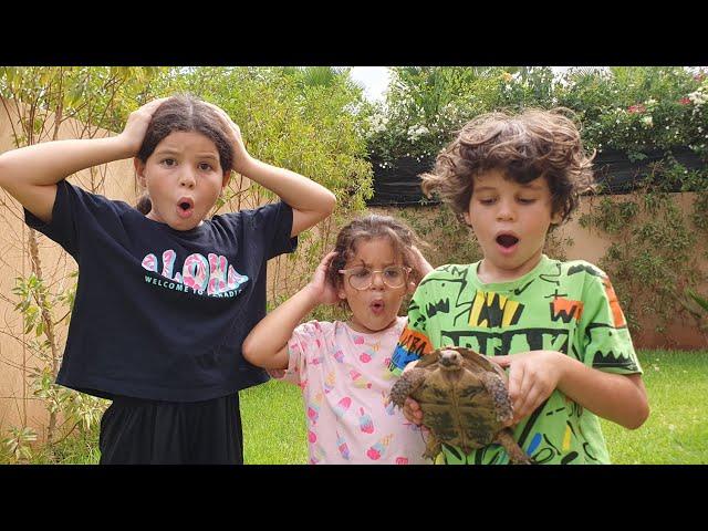 amira  j'ai fait une surprise à Amira j'ai acheté une tortue 