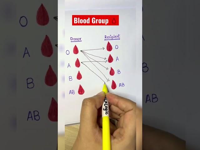 Blood Group 🩸