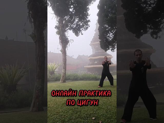 ОНЛАЙН ПРАКТИКА ЦИГУН ️#цигун #тайцзицюань #онлайн #практика #taichi #qigong #太极拳 #气功