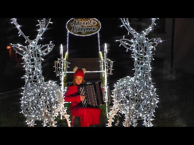 P. I. Tchaikovsky: The Seasons op. 37a, 12. December- Christmas on accordion