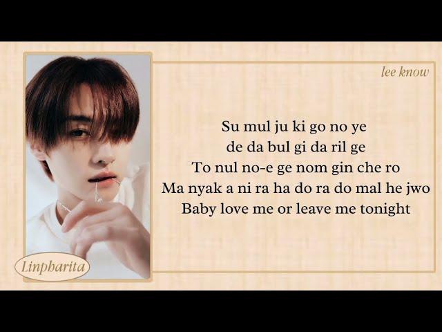 LEE KNOW Love Me Or leave me tonight Easy Lyrics COVER (SKZ: RECORD)