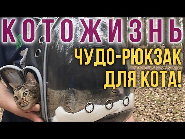 ЧУДО-РЮКЗАК ДЛЯ КОТА! ПРОГУЛКА С ТЁПОЙ  КОТОЖИЗНЬ!