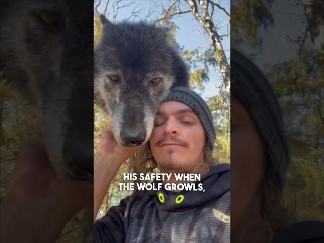 This man is best friends with wolves  @Liondad_1987