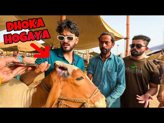 QURBANI K JANWAR KHAREED LIA LEKIN DHOKA HOGAYA | COW MANDI MISHKAT KHAN FICTION VLOG