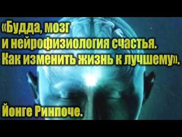 «Будда, мозг и нейрофизиология счастья. Как изменить жизнь к лучшему». Йонге Ринпоче. Аудиокнига.