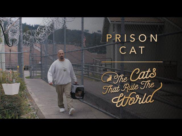 EP 1 | PRISON CAT, GALILEO | THE CATS THAT RULE THE WORLD | SHEBA®