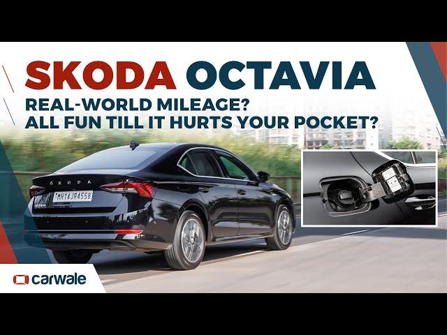 How Efficient is the New Skoda Octavia in the Real World? | CarWale #shorts