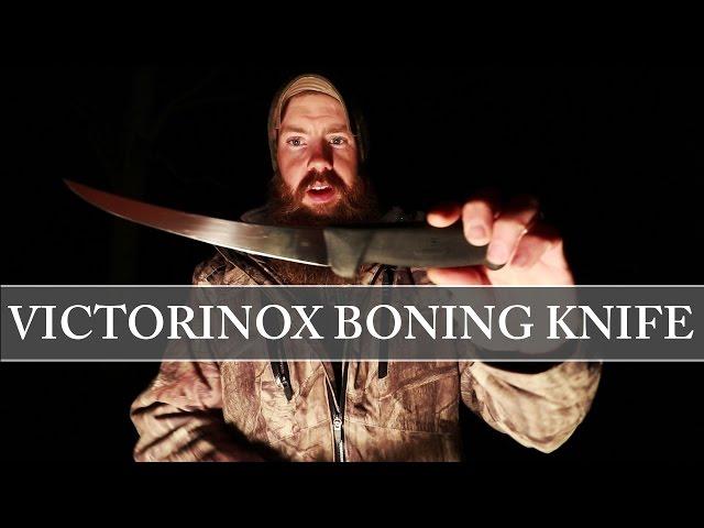 BEST knife for fish and game - Victorinox 6" boning knife