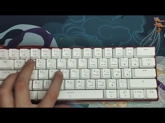 DEXP Tanto WRS typing