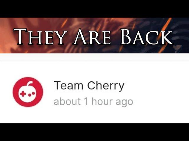 Team Cherry are Active Again…