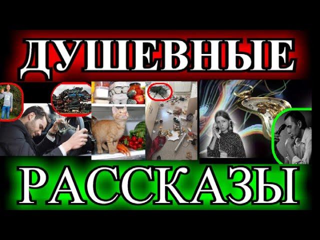 ДУШЕВНЫЕ  РАССКАЗЫ️МОЖНО ПОПРОСИТЬ НИНУ?️ИСКЛЮЧЕНИЕ️КОТЁНОК ПУЛЯ️ЛАМПОЧКИН @TEFI РАССКАЗЫ