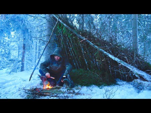Winter Survival and Bushcraft - Alone in the Bitter Cold