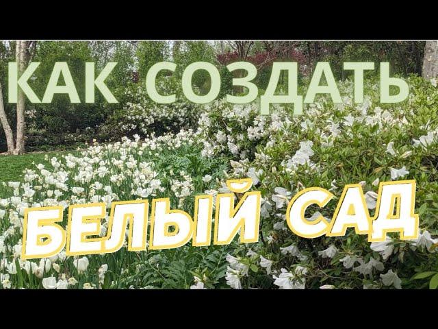 Как создать стильный белый сад своими руками | Идеи белого сада | Ландшафтный дизайн своими руками