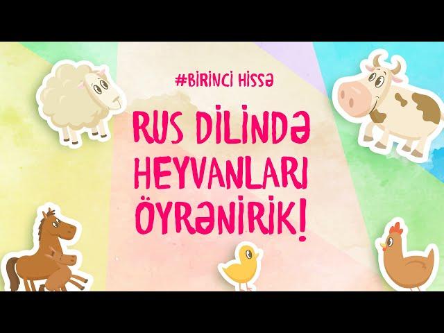 RUS DİLİNDƏ HEYVANLARI ÖYRƏNİRİK! (Azərbaycan dilində qarşılığı ilə)