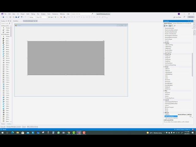 Remove Last Empty Row From DataGridView in Windows Forms C#