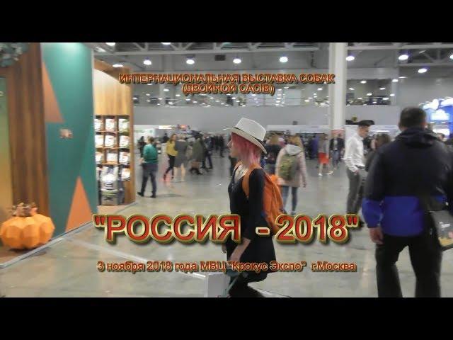 2018 ИНТЕРНАЦИОНАЛЬНАЯ ВЫСТАВКА СОБАК РКФ – FCI «РОССИЯ-2018»