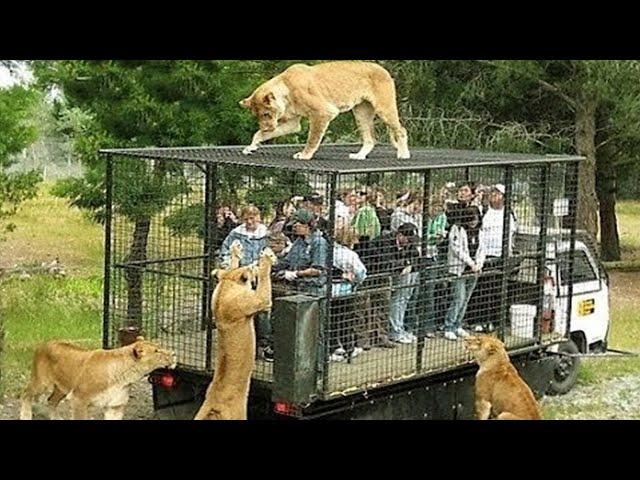 10 MOST STUNNING ZOOS IN THE WORLD