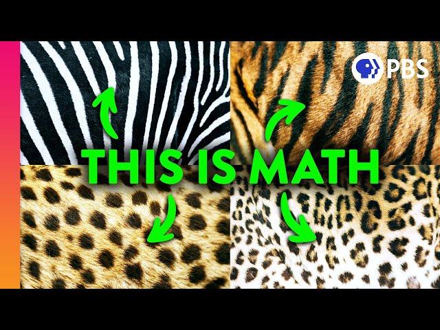 The Mathematical Code Hidden In Nature