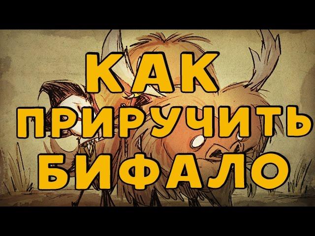 Как приручить, одомашнить Бифало в Don't Starve Together.