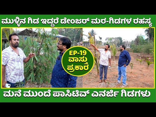 Lucky vastu plant in Front of Home | Vastu plants | Best Out Door Plants