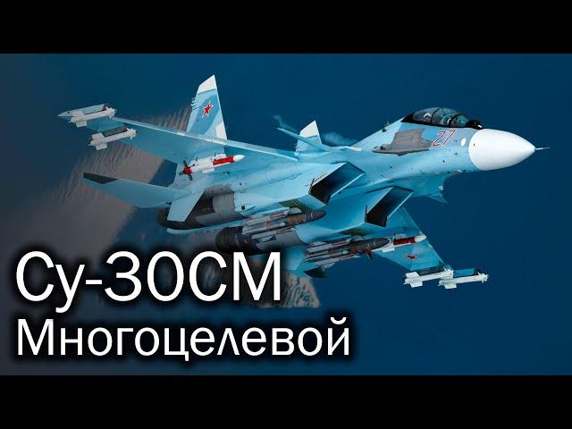 Су-30СМ - многоцелевой истребитель. История и описание