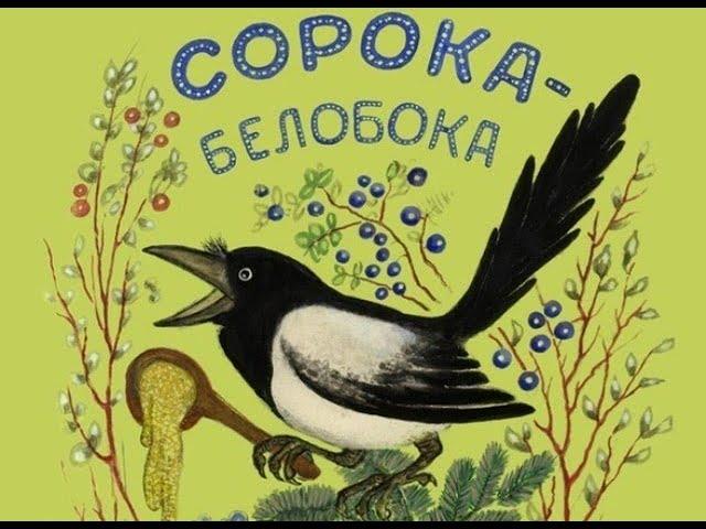 Сорока-белобока