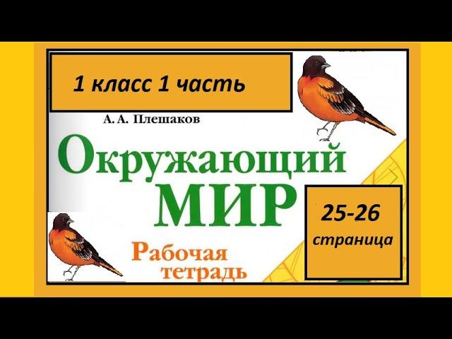 Окружающий мир 1 класс Кто такие птицы? страница 25-26.