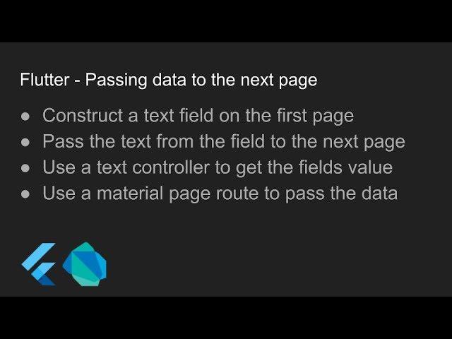 Flutter - Passing data to the next page