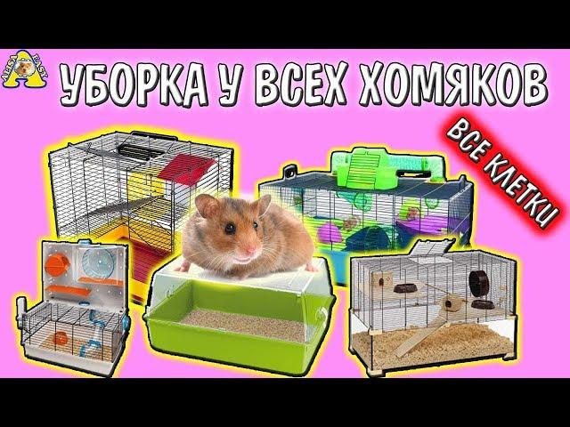 ВСЕ КЛЕТКИ МОИХ ХОМЯКОВ / УБОРКА у ВСЕХ ХОМЯКОВ / Cleaning hamster's cages / Алиса Изи