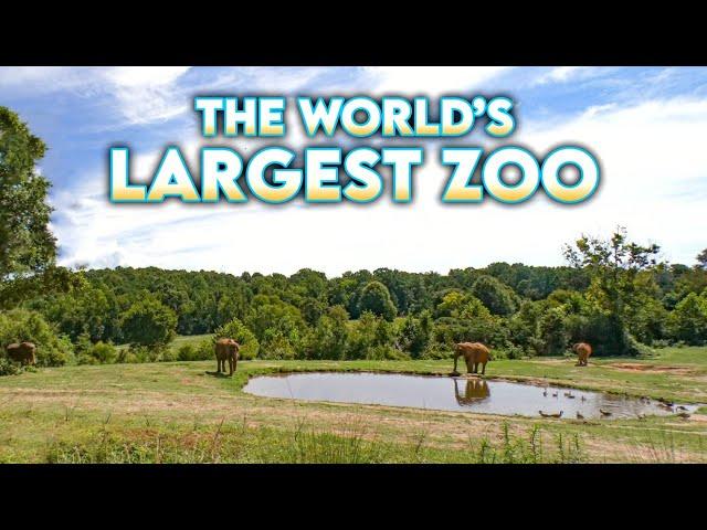 Welcome to the World's Largest Zoo!