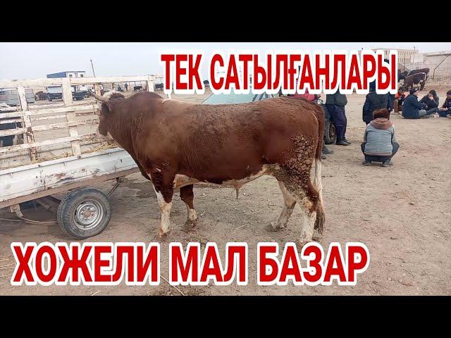 27-феврал 2022 ХОЖЕЛИ МАЛ БАЗАР/ ТЕК САТЫЛҒАНЛАРЫ!