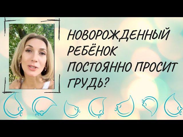 Новорожденный ребёнок постоянно просит грудь? Висит на ней?