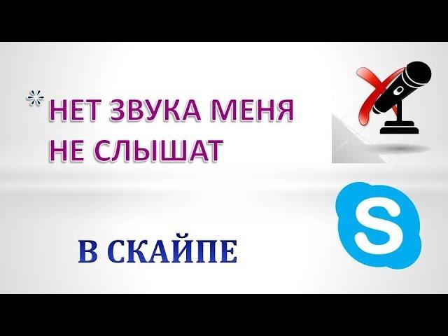 В Скайпе нет звука меня не слышат.Нет звука микрофона в skype.Как исправить!