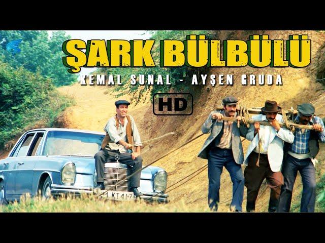 Şark Bülbülü Türk Filmi | RESTORASYONLU | Kemal Sunal Filmleri