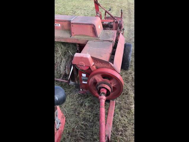 1959 Massey Ferguson mf50 baling hay with Cockshutt 520 square baler.