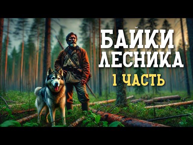 БАЙКИ ЛЕСНИКА [1ЧАСТЬ]: Таёжная История | Истории из Тайги | Аудиокнига