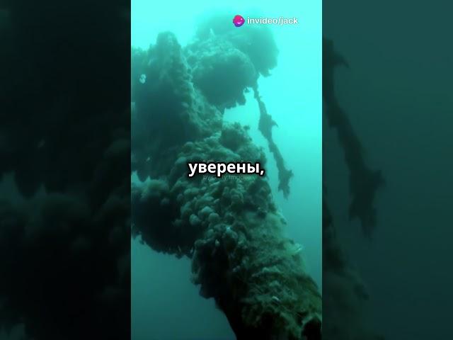 Куда исчезла янтарная комната? #история #факты