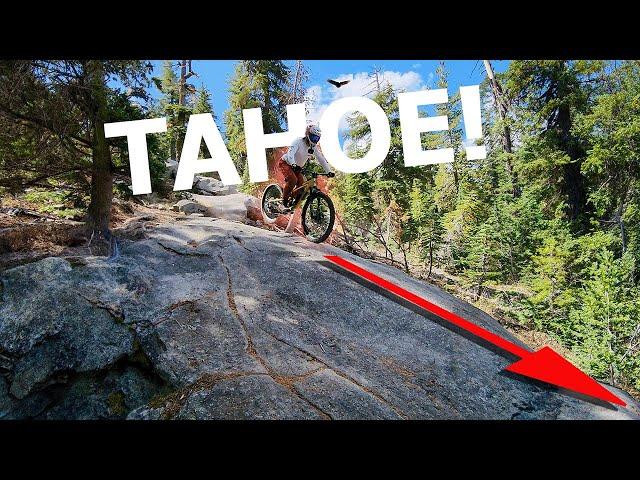 Are These The Best Trails In South Lake Tahoe!? Mr Toads, Corral, Armstrong CA Mountain Bike / MTB